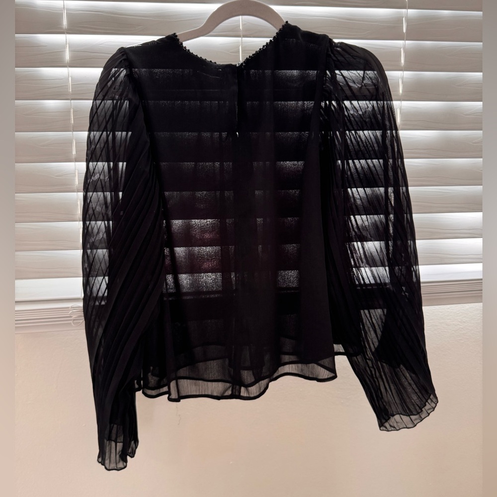 Zara Sheer Black Blouse Size S